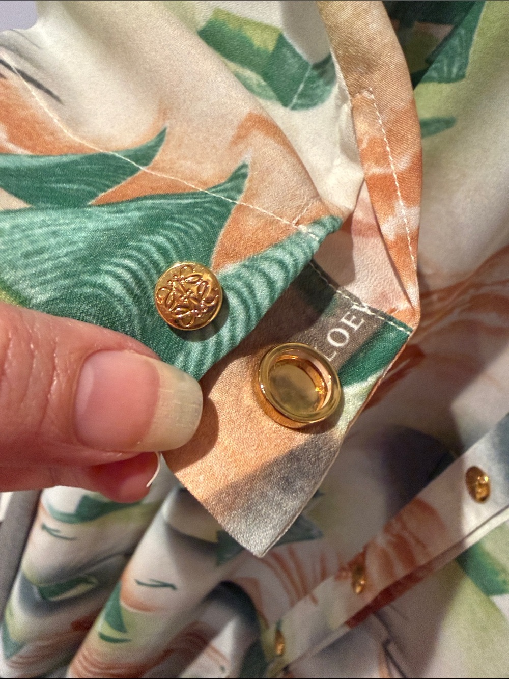 Loewe Printed Button-Front Maxi Dress in Green, Cream and Brown - Picture 6 of 9